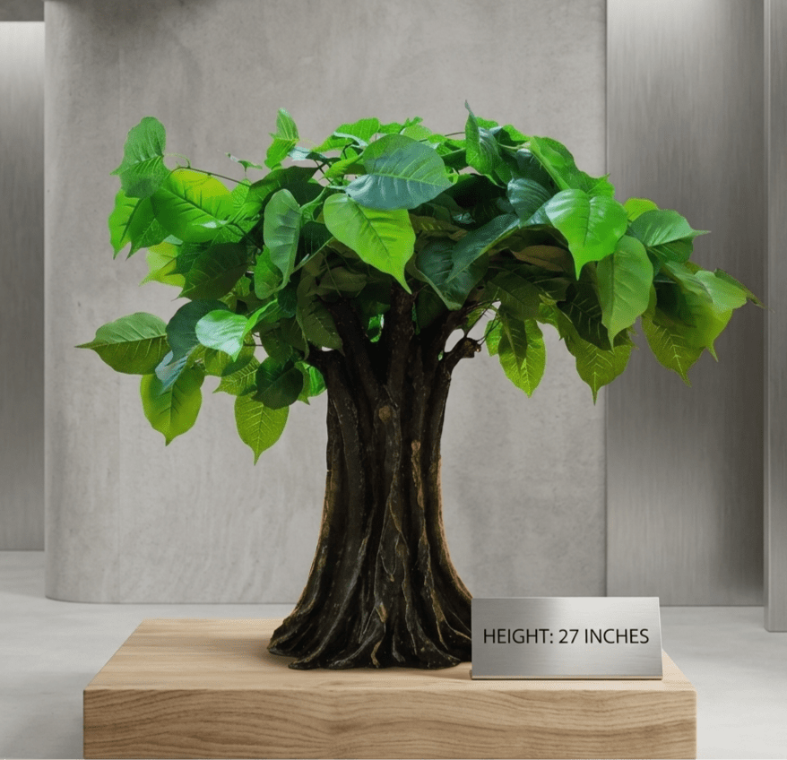 ဗောဓိညောင်ပင် (27")