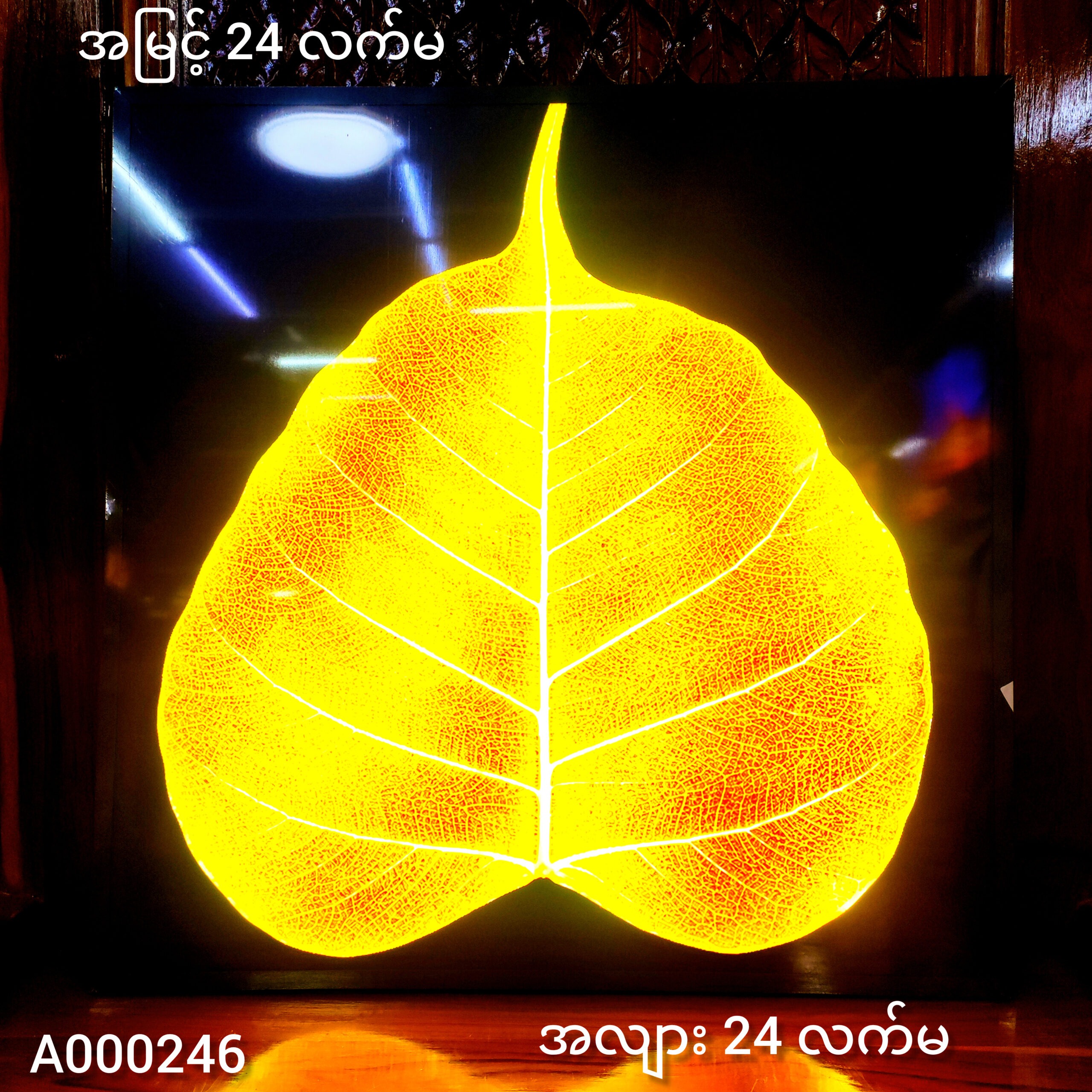 ရွှေညောင်