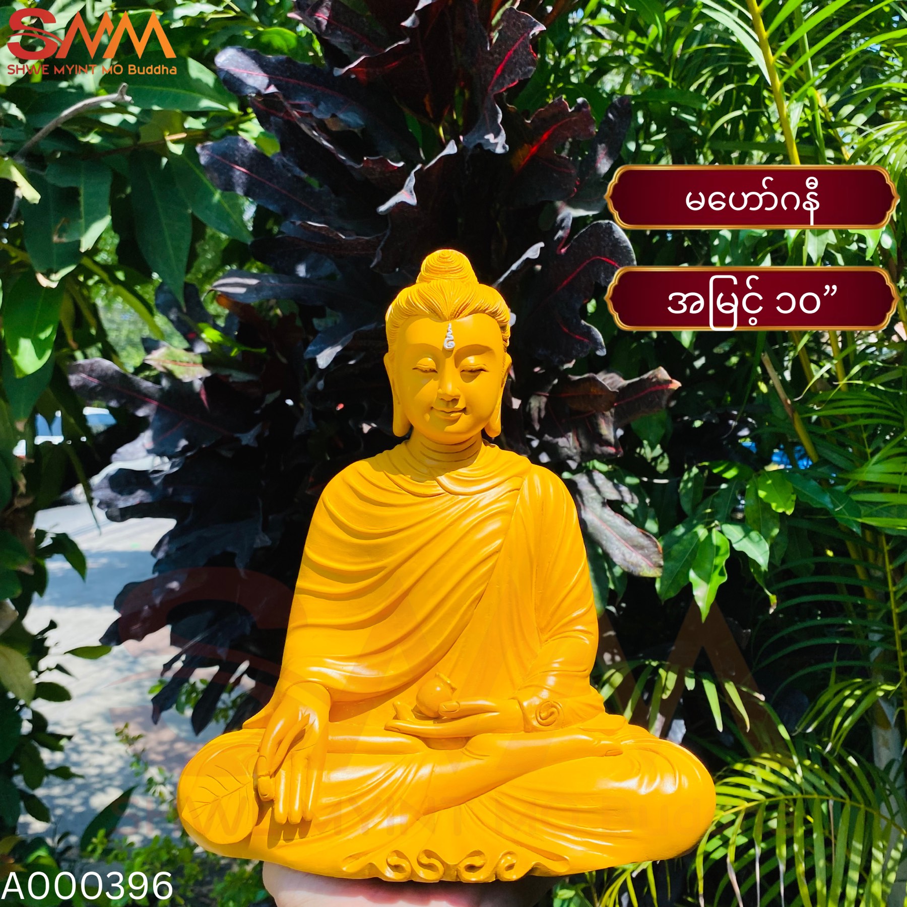 အသားဘုရားမဟော်ဂနီ