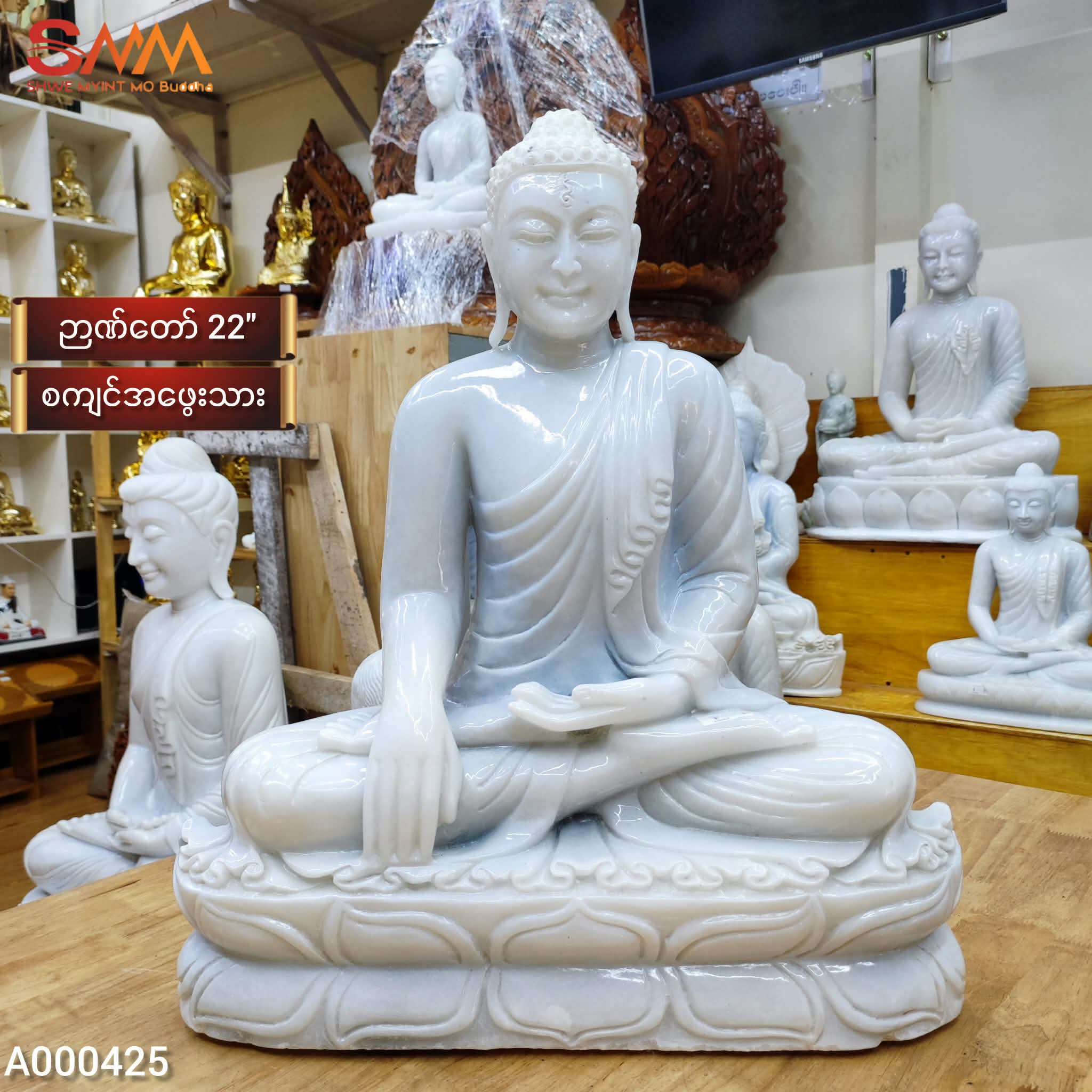 စကျင်အဖွေးသား ၂၂”