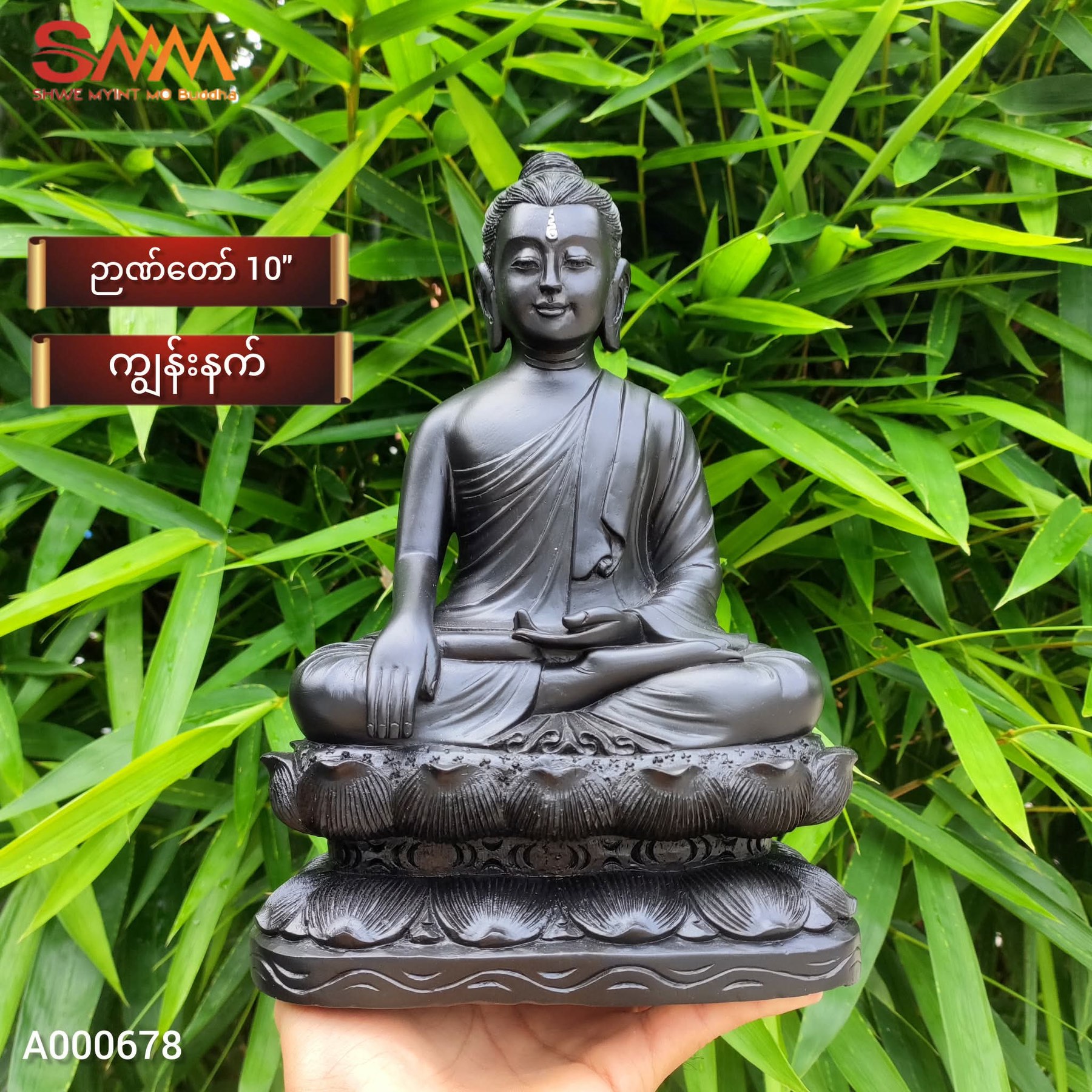 ကျွန်းနက်